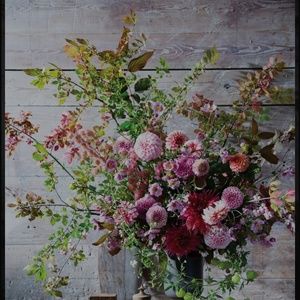 Meet your Posher, Helen